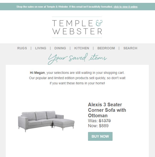 abandoned cart emails Temple and Webster example
